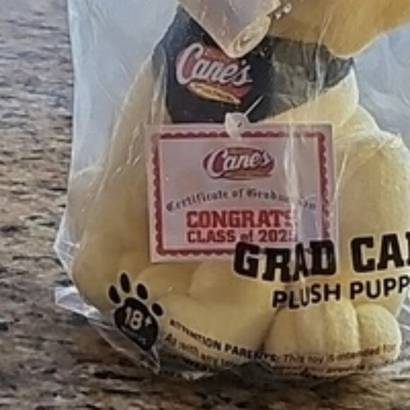 New factory sealed Raising Cane's Plush Puppy Set Birthday and Graduation 2025 - Picture 12 of 12